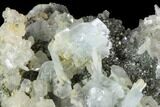 Blue Bladed Barite and Marcasite Association - Morocco #84859-2